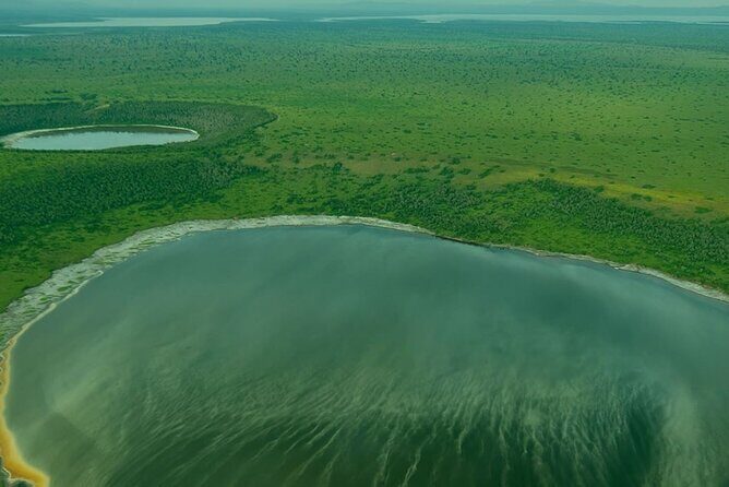 3-Day Safari in Queen Elizabeth National Park Uganda from Kampala - Queen Elizabeth National Park: why this safari feels different