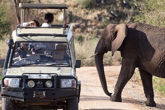 3-Day Safari in Queen Elizabeth National Park Uganda from Kampala - Lodging, meals, and the helpful extras that remove stress