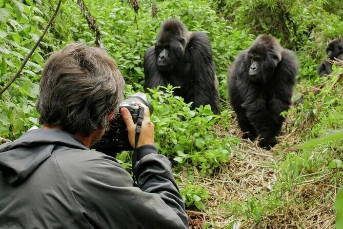 3 Day Uganda Gorilla Trekking and Batwa Pygmies Experience - Day 2 After the Trek: Free Time That Helps You Recover