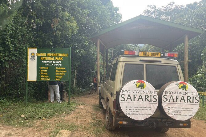 3 Day Uganda Gorilla Trekking and Batwa Pygmies Experience - Where You Stay and Eat: Built for a Quick Turnaround
