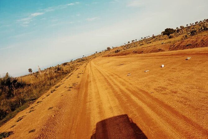 3 Days 2 Nights, Murchison Falls And Wildlife Safari - Day 2: early game drive with big chances for giraffes