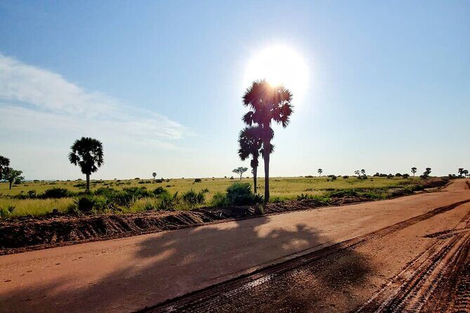 3 Days 2 Nights, Murchison Falls And Wildlife Safari - A note on boat cruise and lodge life