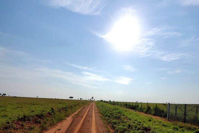 3 Days 2 Nights, Murchison Falls And Wildlife Safari - Day 3: the return to Kampala and your wrap-up moment