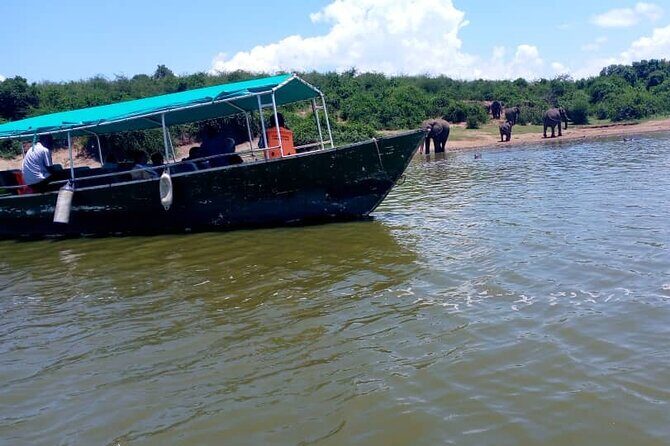 3 Days Best of Queen Elizabeth National Park Wildlife Tour - Queen Elizabeth in 3 days: what this itinerary actually feels like