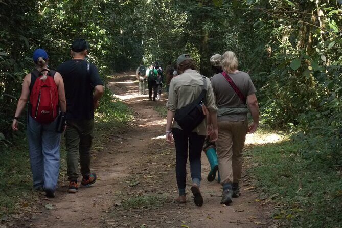 3 Days Bwindi Gorilla Trekking tour - 3 days in Uganda for one wild mission