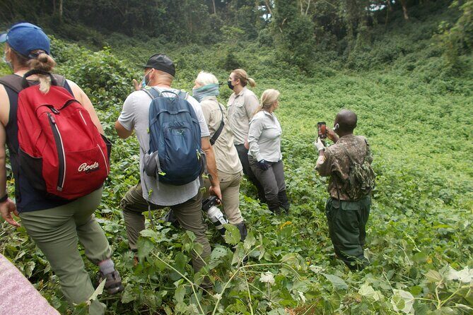 3 Days Bwindi Gorilla Trekking tour - Bwindi headquarters at 7:45: what the trekking day actually feels like
