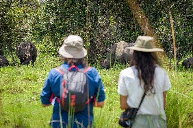 3 Days gorilla trekking Safari tour in Uganda - Bwindi gorillas, Uganda style: why this plan works