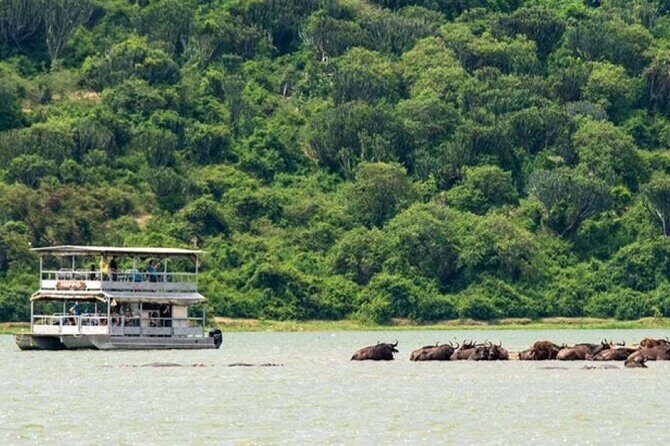 3 Days gorilla trekking Safari tour in Uganda - Price and Logistics: what $2,600 buys you (and what it doesn’t)