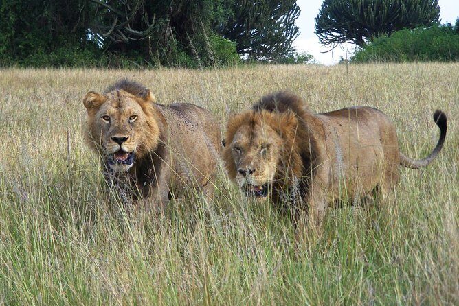 3 Days Group Safari To Queen Elizabeth Park In Uganda. - Day 3: leaving the park with equator stops and a late afternoon return