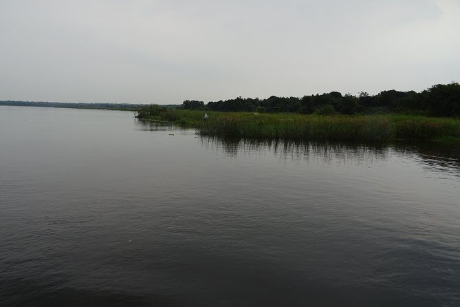 3 Days Lake Bunyonyi and Gorilla Trekking Tour in Uganda - Bwindi gorilla tracking on Day 2: what to expect in the forest