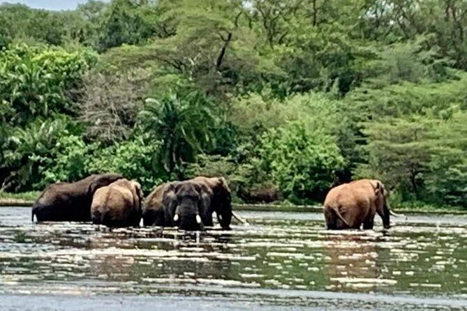 3 Days magical Murchison falls safari - Price and what you’re really paying for ($1,115 per person)