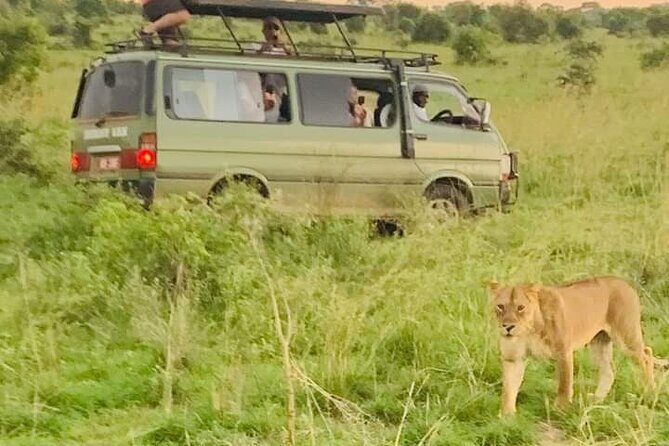 3 Days magical Murchison falls safari - Getting around: long days, private timing, and the comfort factor