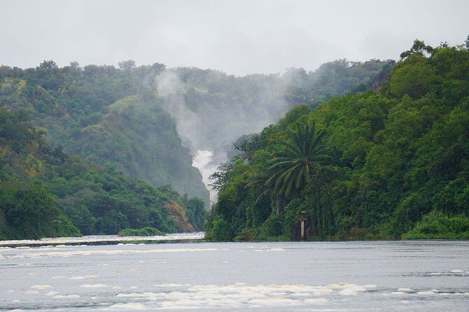 3 Days Murchison Falls Adventure Wildlife Safari Uganda Tour - First Light: Entebbe Pickup to Murchison Falls National Park