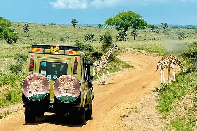 3 days Murchison Falls, Boat cruise and wildlife game viewing - Kampala to Murchison Falls: why the 6am start matters
