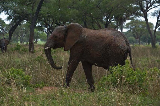 3 days Murchison Falls, Boat cruise and wildlife game viewing - The hike to the top of Murchison Falls: rewarding but not easy