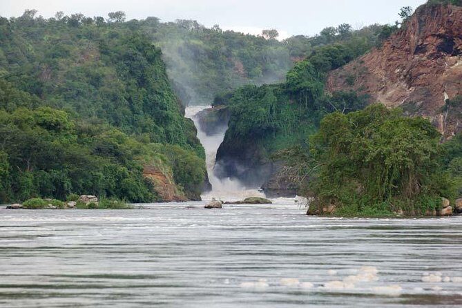 3 days Murchison Falls, Boat cruise and wildlife game viewing - Murchison Falls game drives: more chances, better explanations