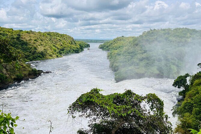3 Days Murchison Falls National Park Safari & Rhino tracking - Key Highlights You’ll Actually Feel