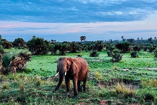 3 Days Murchison Falls National Park Safari & Rhino tracking - Top of the Falls: The 8-Meter Squeeze and the 45-Meter Drop