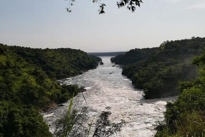 3 Days Murchison Falls National Park Safari & Rhino tracking - Who This Safari Is Best For