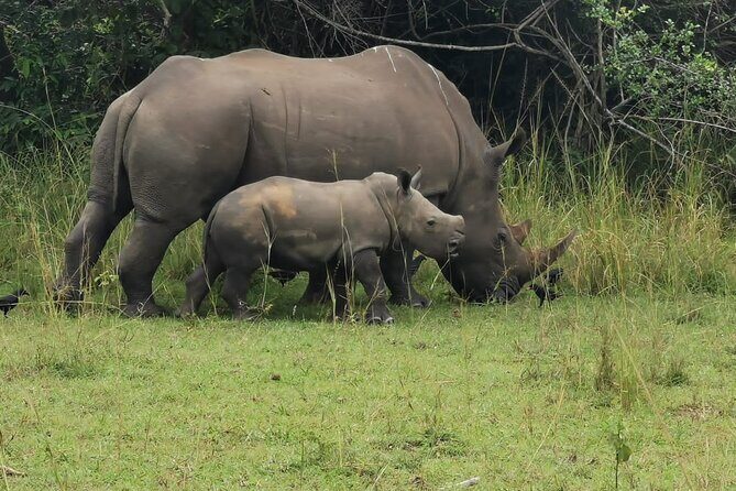3 Days Murchison falls park Uganda - Where you’ll sleep and what to pack for it
