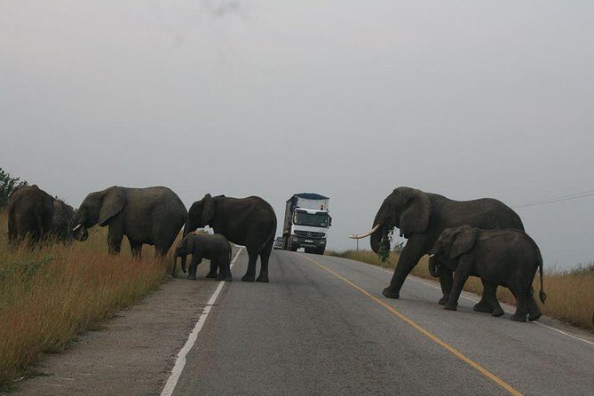 3 days Queen Elizabeth National Park Uganda Safari - Queen Elizabeth National Park game drive on day 3