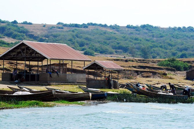 3 days Queen Elizabeth National Park Uganda Safari - Primate walk for chimps: what to expect from this promised highlight