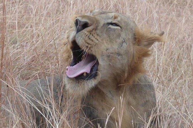 3 days Queen Elizabeth National Park Uganda Safari - Transportation, WiFi, and the not-so-glamorous reality of roads