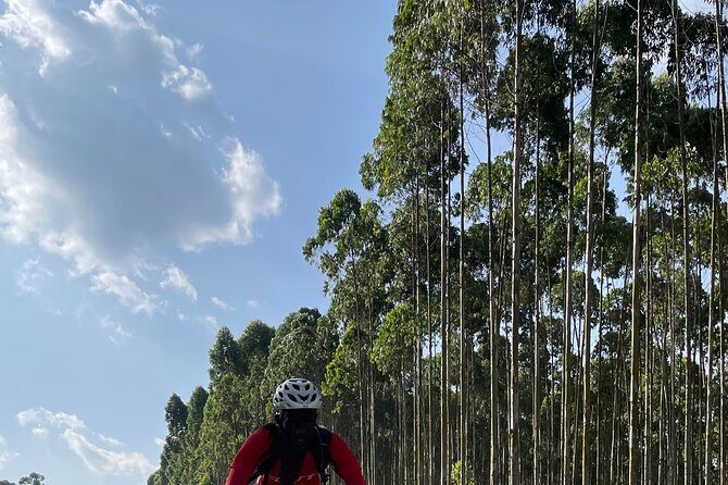 3 Hours Guided Cycling Tour Across Lake Victoria - Price and value: what your $60 actually covers