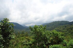 4-Day Gorilla & Chimpanzee Trekking Luxury Fly-in Tour in Uganda - Day 2: Ishasha transfer day through Queen Elizabeth’s tree-climbing lion zone