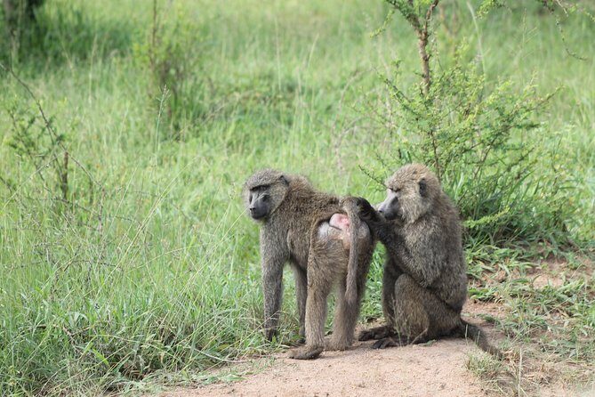 4 Day Gorilla Trekking & Golden Monkeys - Price and value: is $2,500 per person fair for this schedule?