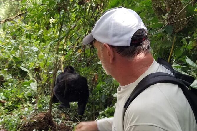4 Days Gorilla and Chimps trek safari - Day 1: Kampala to Bwindi, Equator photos, and a forest-camp night