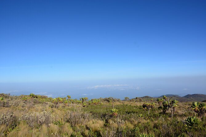 4 Days mount Elgon Trek, 4321m a.s.l - Day 1: Shiloko camp and the steep-but-manageable start