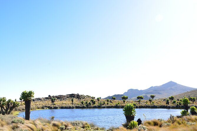 4 Days mount Elgon Trek, 4321m a.s.l - Day 4: the crater walk and Hunter’s Cave Camp at 3,600m