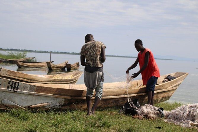 5 Day Gorillas, Wildlife and Kalinzu Forest Chimp Trek - Day 3: Queen Elizabeth game drive in Kasenyi Plains