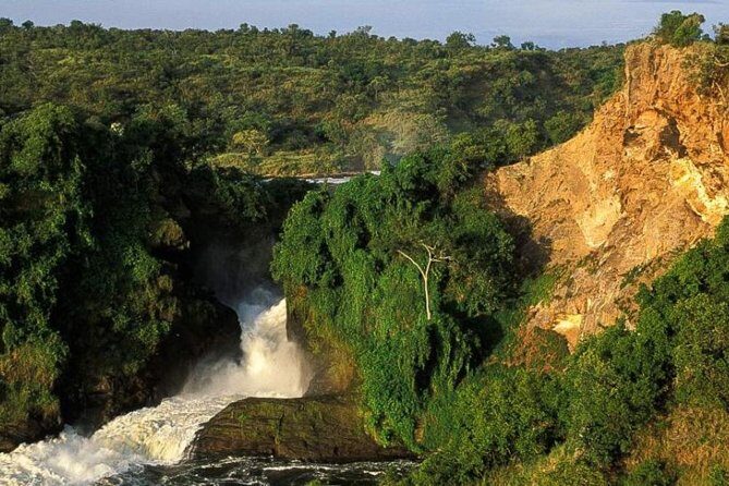 5-Day Murchison Falls, Budongo Chimps, Wildlife Big 5 Safari - Key highlights worth clocking