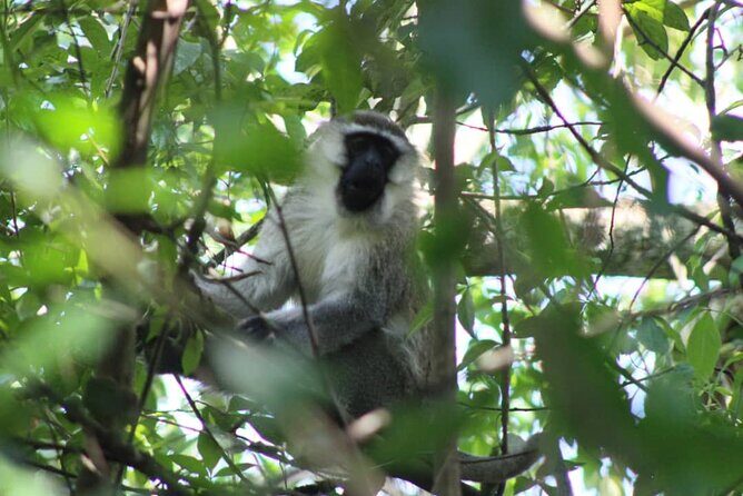 5 days best wildlife experience in Uganda - Day 3: Queen Elizabeth’s crater drive and Katwe Salt Lake’s everyday culture