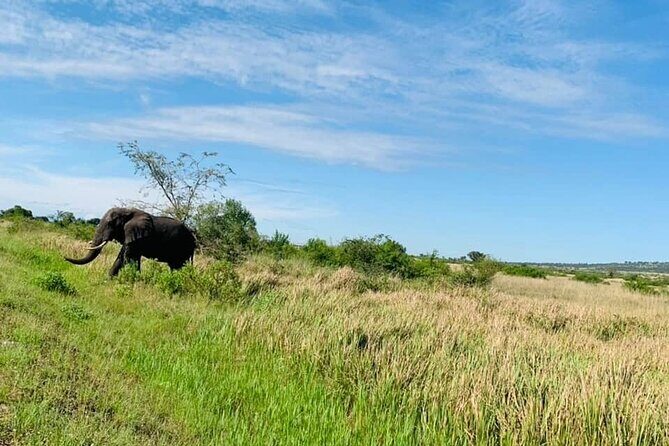 5 days best wildlife experience in Uganda - Who this safari suits best—and who should consider a different pace