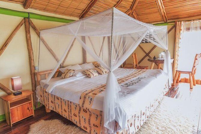 5 days gorilla & Wildlife safari in Uganda - Who this safari suits best (and who should think twice)