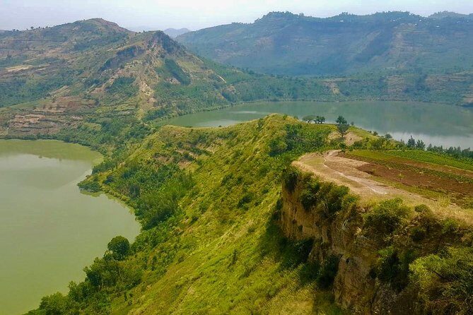 6 Day Gorilla tracking and Wildlife Safari - Day 3: Gorilla Trekking in Bwindi—Muddy Jungle, Big Connection