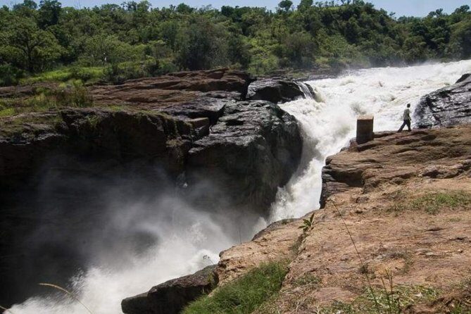 6-Day Murchison Falls and Kidepo NP Wildlife Safari - Key highlights worth circling