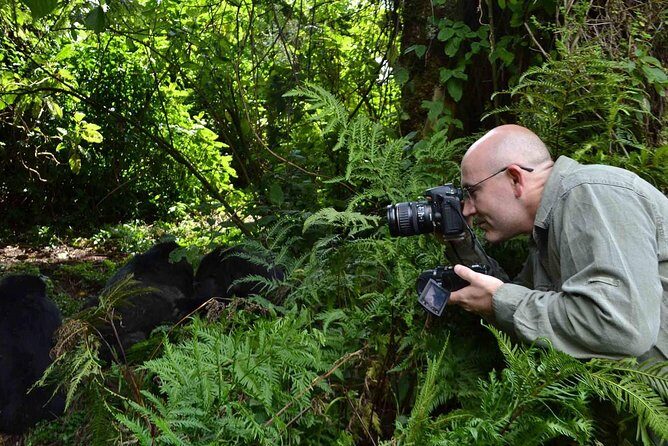 6 Days Chimps, Gorillas & Murchison Falls Africa's Big Five Experience Safari - Day 5: Gorilla trek day—briefing, 3–5 hour hike, and your hour with gorillas
