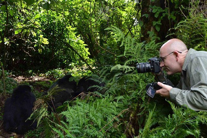 6 Days Chimps, Gorillas & Murchison Falls Africa's Big Five Experience Safari - How Murchison and Bwindi complement each other