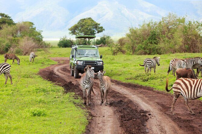 7-Day Private Uganda Gorilla Tracking Safari Tour From Entebbe - Lake Mburo National Park: wildlife, then a boat cruise with hippos and birds