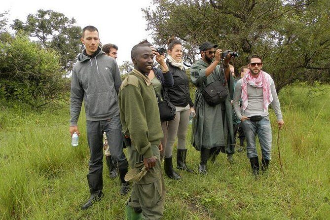 7-Day Uganda Adventure Safari - Midrange Lodges - Queen Elizabeth arrival and the Kazinga Channel boat safari