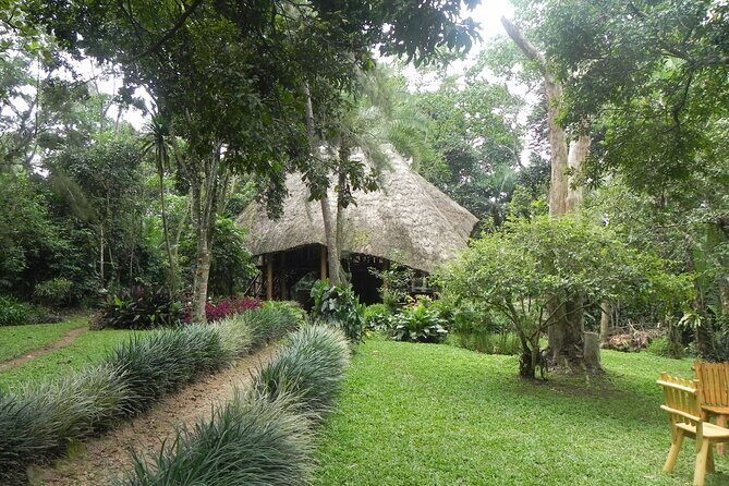7 Days Flying Gorillas and Wildlife Safari Uganda Private Tour - FAQ