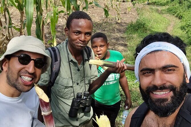 7 Days Fort Portal Culture Tour Western Uganda - Kibale National Park: chimpanzee tracking plus forest primate energy