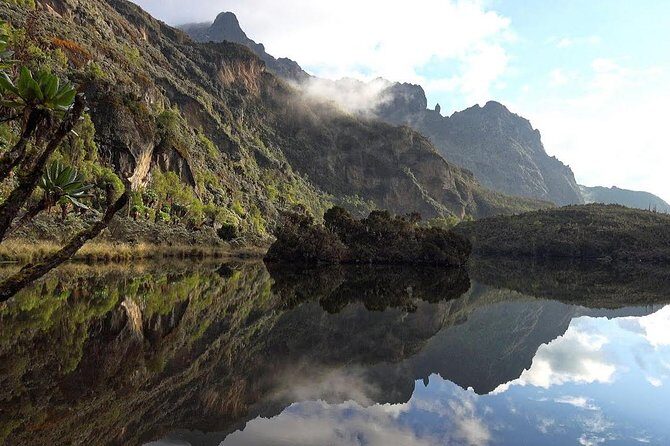 7 Days Rwenzori Summit (Margherita Peak) Hike - Rwenzori’s Margherita Peak: What Makes This Trek Worth the Effort