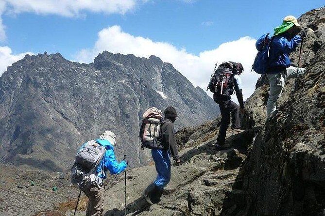 7 Days Rwenzori Summit (Margherita Peak) Hike - The Logistics That Actually Help: Fort Portal Start and Small-Group Pace