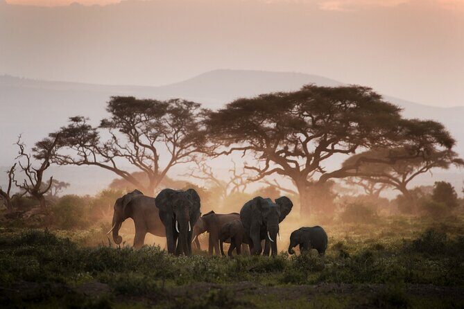 8-Day Classic Uganda Primates & Wildlife Tour - Why this 8-day Uganda route works so well