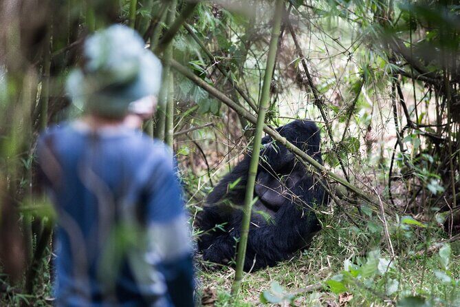 8-Day Classic Uganda Primates & Wildlife Tour - Lake Mburo: the savanna warm-up before Bwindi gorillas